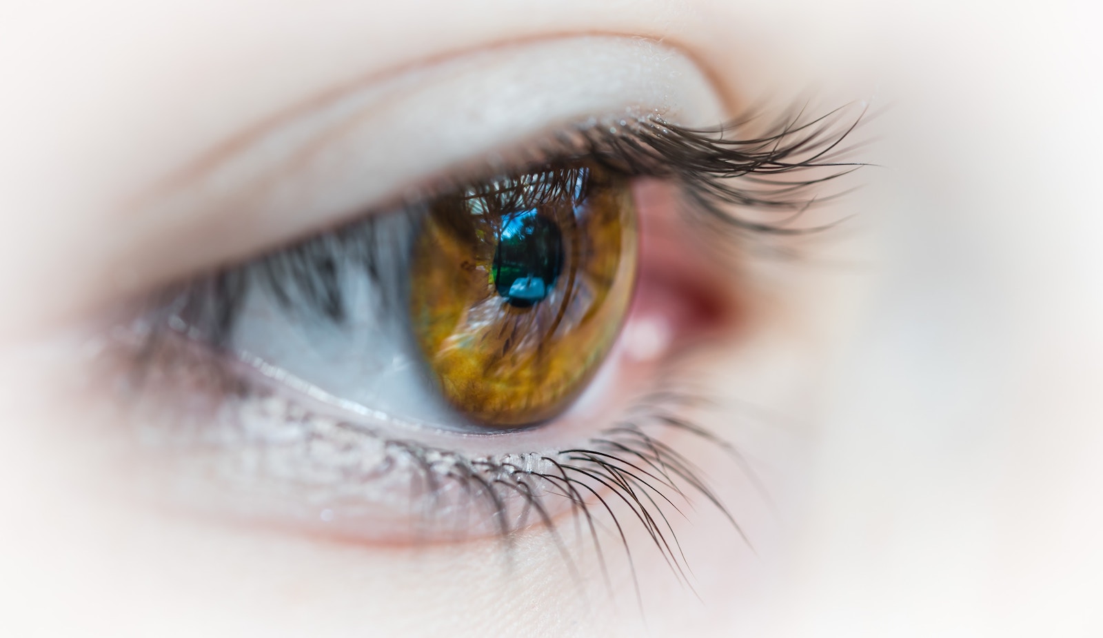 Time Efficiency Essential for Cornea Donation, Restoring Sight to the Blind